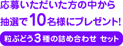 応募いただいた方の中から 抽選で10名様にプレゼント！粒ぶどう3種の詰め合わせセット